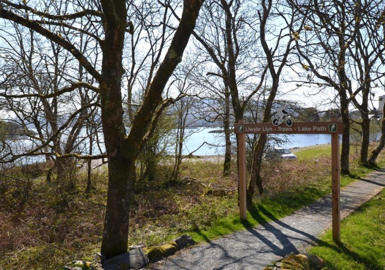Gellfechan Trawsfynydd Bagian luar foto